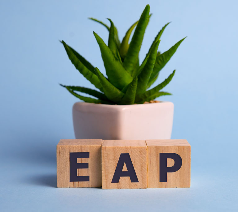 potted plant with the letters EAP