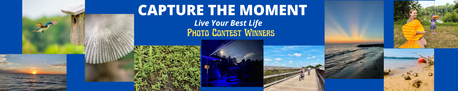 Capture The Moment Photo Contest Winners