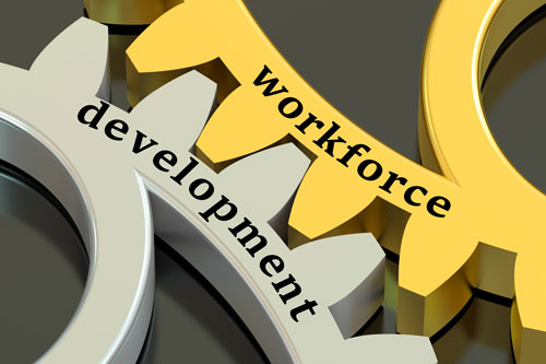 Workforce Development